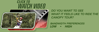 Canopy Tour  VIdeo