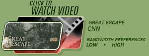 Original Canopy Tour  on CNN